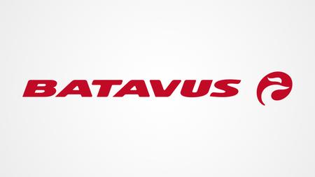 Das Batavus Logo