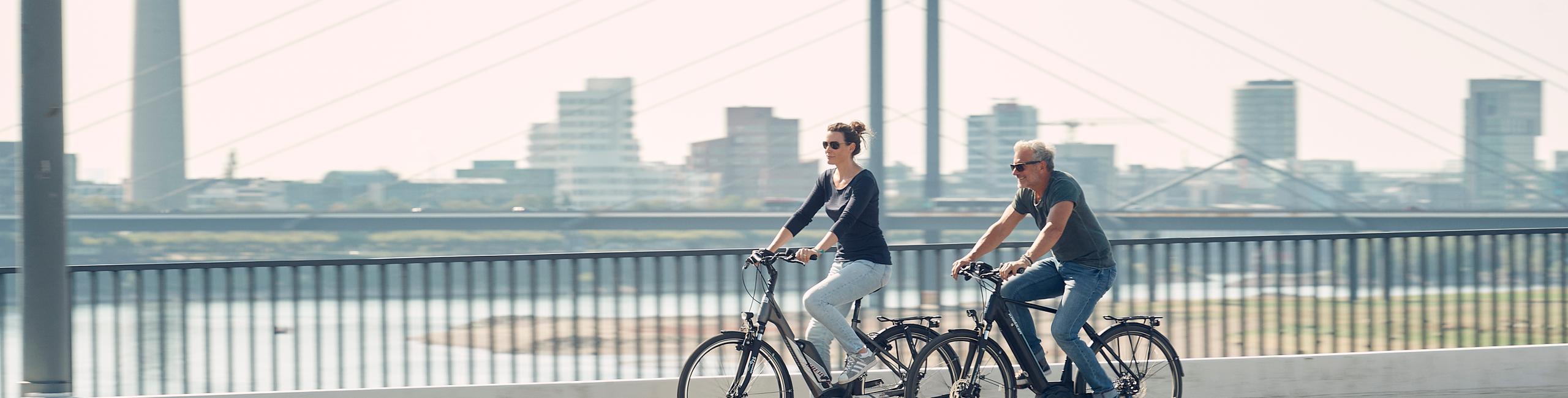 Die Premiummarke Kreidler