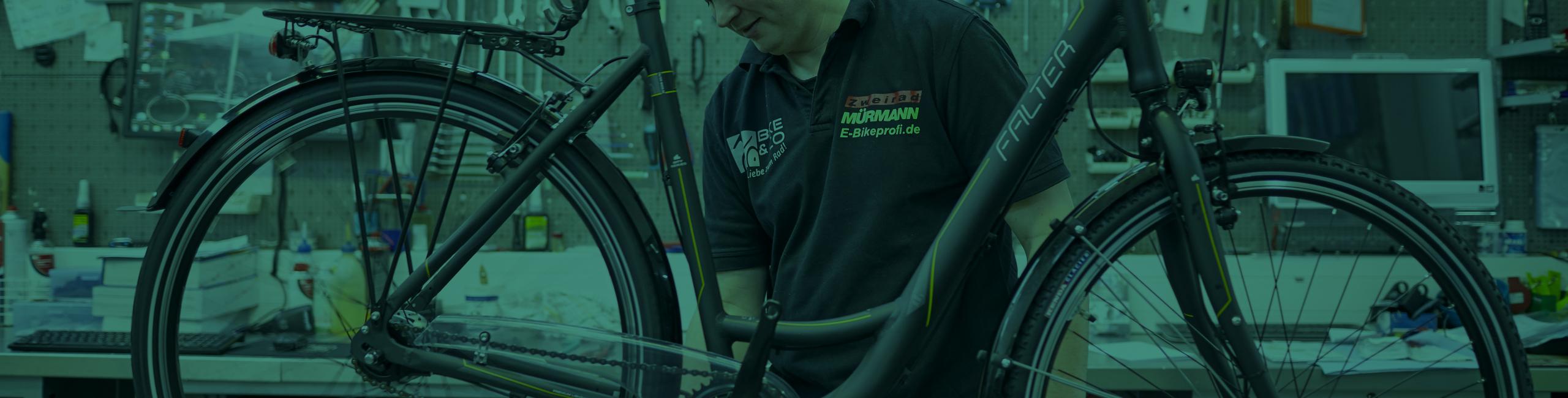 Inspektion durch einen gut ausgebildeten Fahrradmechaniker