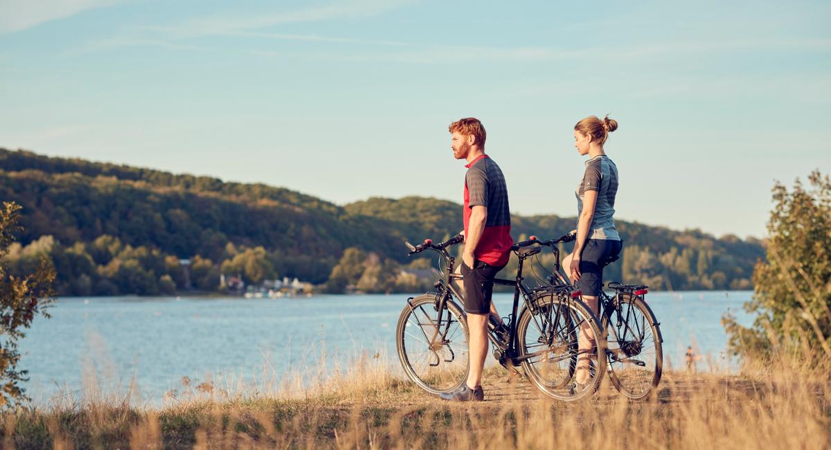 Die Premiummarke vsf fahrradmanufaktur