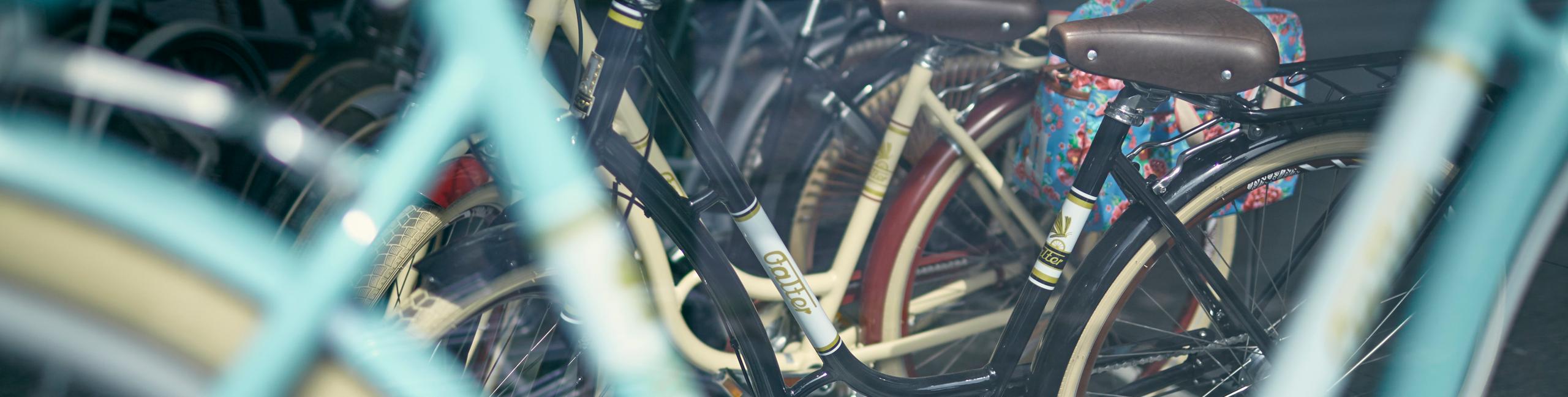 Ein Blick in einen BIKE&CO-Store. Classic-Räder von FALTER sind ein optischer Hingucker.