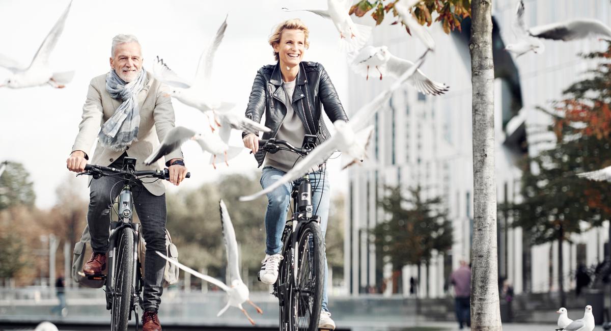 Die Premiummarke e-bike manufaktur